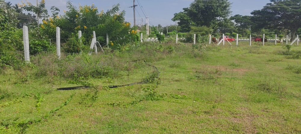 whatsapp image 2025 10 07 at 9.08.15 am (1)